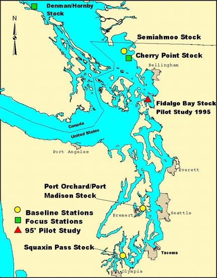 Pacific herring sampling locations