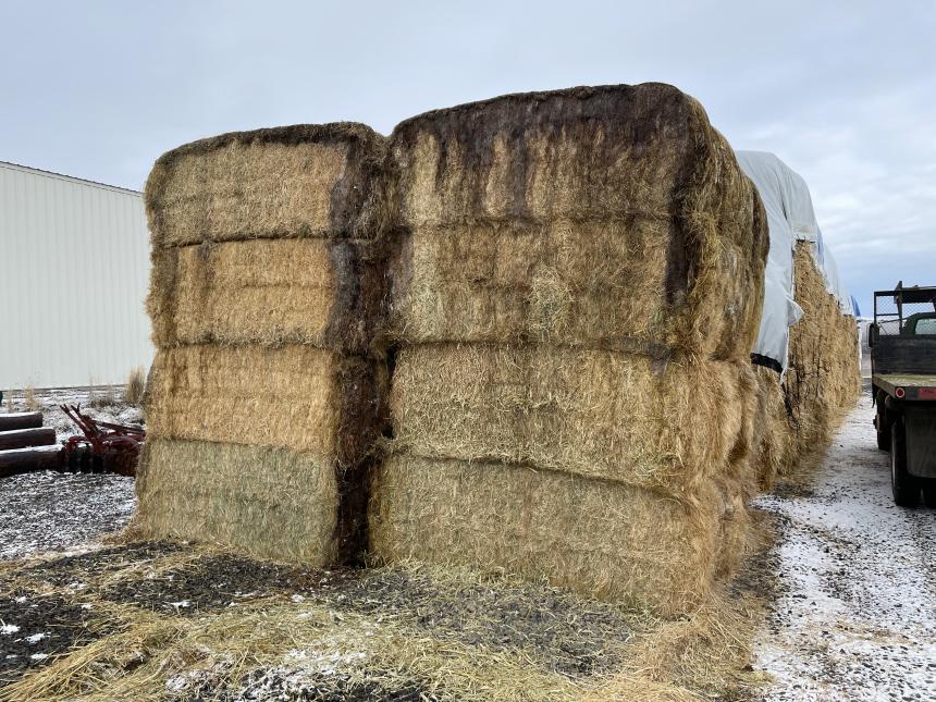 Hay with water damage seeping through the stack