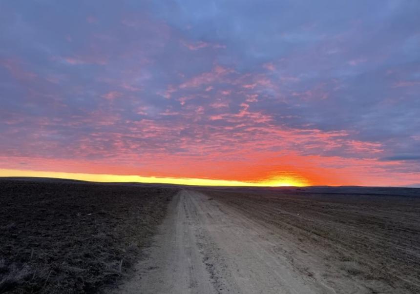 A dirt road into a sunrise