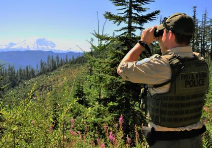 A wildlife enforcement officer surveys a valley with binoculars