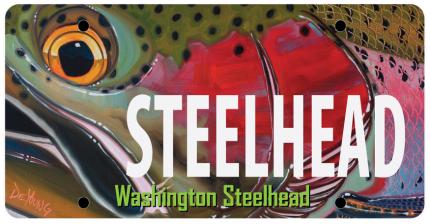 Steelhead license plate