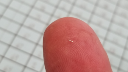 Coded wire tag on fingertip