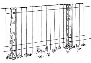 A drawing shows how to rig electrical wire to prevent raccoons from climbing fences.