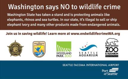Washington state has taken a stand and is protecting animals like elephants, rhinos, and sea turtles.