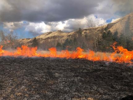 Burning Fields on the Asotin Creek Wildlife Area on Tuesday
