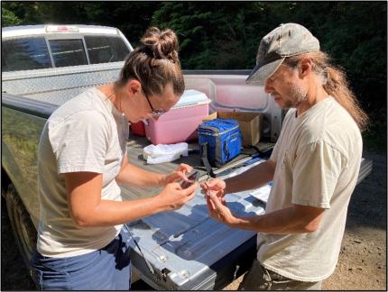 Biologists Stephens and Holman processing a recently captured bumble bee
