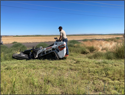 Technician using mower attachment to mow weeds. 