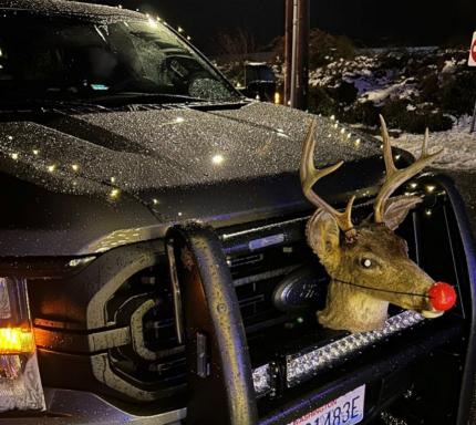 The front of a truck with the head of a decoy deer with a red nose. 