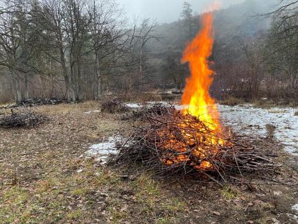 Burn of nonnative vegetation piles on the newly acquired Bear Canyon property.