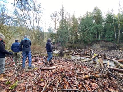 Observing engineered log jams on Snow Creek, adjacent to the Discovery Bay Unit of the North Olympic Wildlife Area.