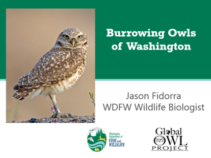 Burrowing Owl Outreach.