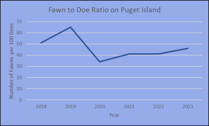 Fawn to Doe ratio on Puget Island. 