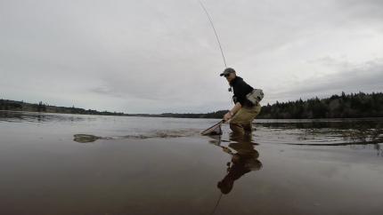 Fly Fisher in water with fish
