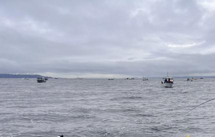 Boats fishing for winter blackmouth Chinook in central Puget Sound Marine Area 10 March 2024