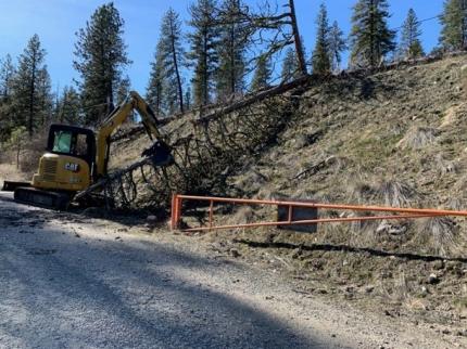 Downed tree removal on Bisbee Mountain Road.