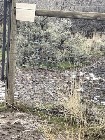 Elk hole in fence near return gate at Cowiche.