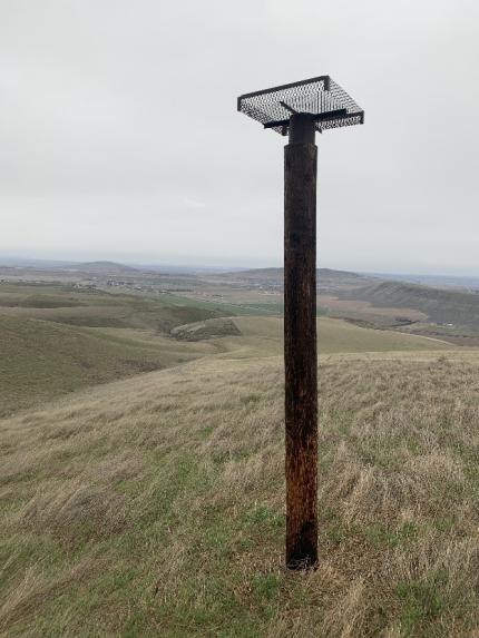 Ferruginous hawk nest platform.