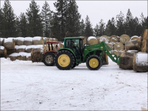 A green tractor moving haybales