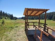 A wheelchair-accessible hunting and wildlife viewing platform